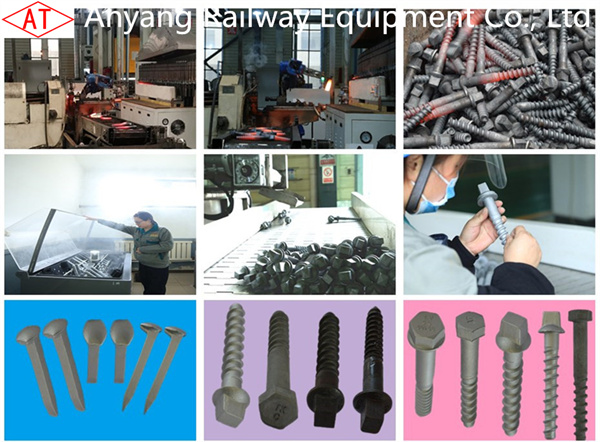 Railway Track Screw Spikes(Rail Spikes) Manufacturer from China