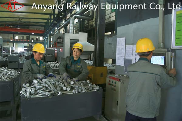 China High Quality Railroad Anchor Bolts, Track Bolts Factory
