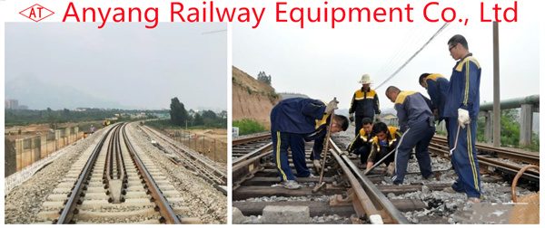 Protect Rail Spindles and Rail Fastening System for P60 Steel Rails