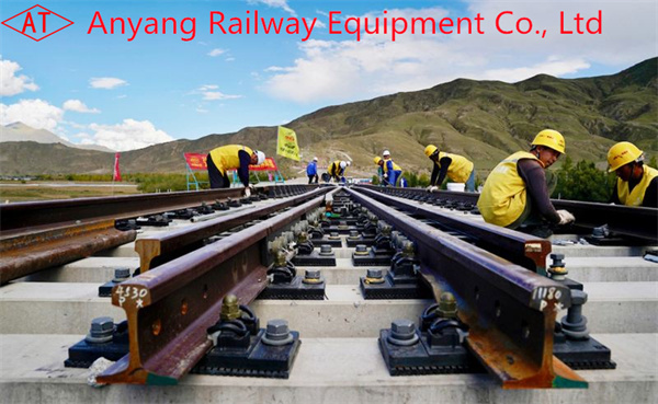 P50 Guard Rail Fasteners(Protect Rail Fastening System) for Xingquan Railway