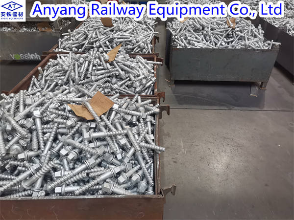 China Ss35 Thread Spikes with Uls7 Washer Producer
