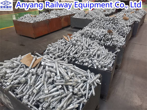 China Ss36 Screw Spikes with Uls7 Washer Factory