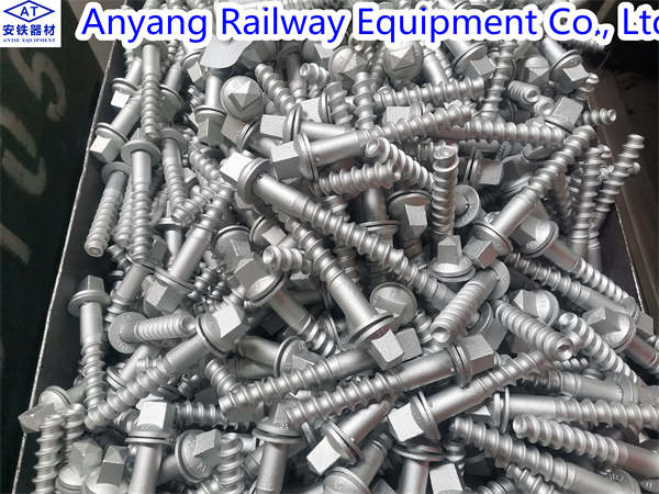Ss35 Rail Screw with Uls7 Washer for Concrete Sleeper