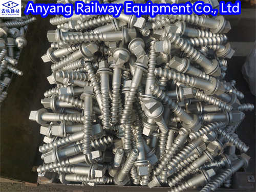 Ss35 Rail Screw Spikes Manufacturer for Railway Construction