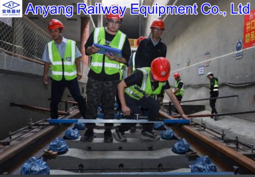 DTIII2-1 Type Fastening Systems Supplier for Shenyang Metro Line 6